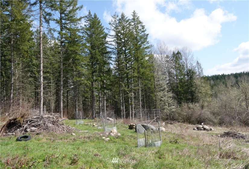 1 408th, Roy, Washington 98328, ,Land,For Sale,Tule Lake,408th,NWM1859905