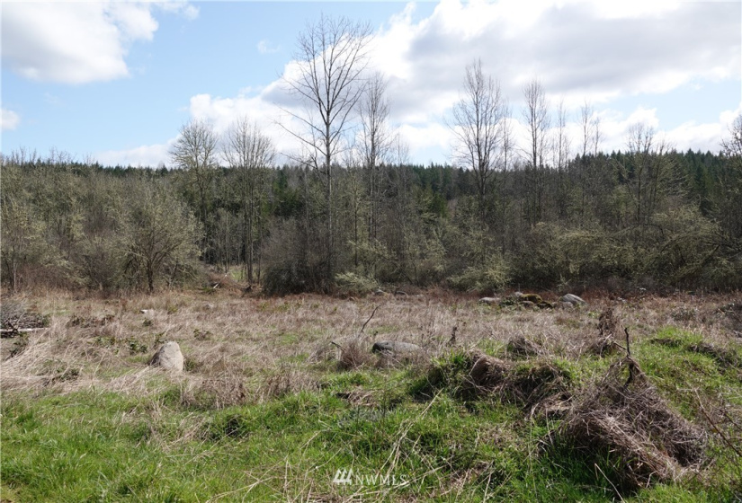 1 408th, Roy, Washington 98328, ,Land,For Sale,Tule Lake,408th,NWM1859905