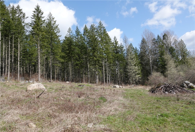 1 408th, Roy, Washington 98328, ,Land,For Sale,Tule Lake,408th,NWM1859905
