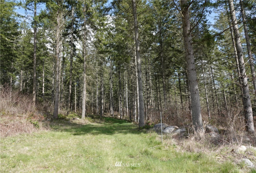 1 408th, Roy, Washington 98328, ,Land,For Sale,Tule Lake,408th,NWM1859905