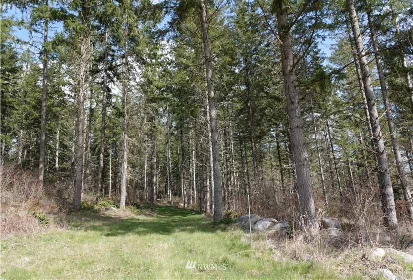 1 408th, Roy, Washington 98328, ,Land,For Sale,Tule Lake,408th,NWM1859905