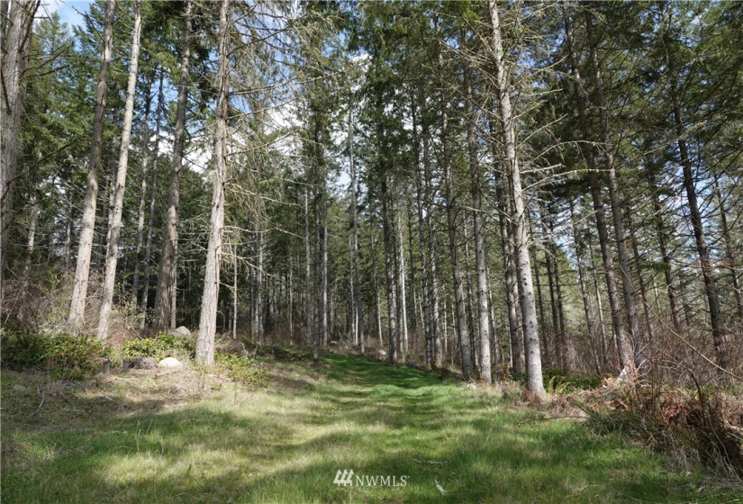 1 408th, Roy, Washington 98328, ,Land,For Sale,Tule Lake,408th,NWM1859905
