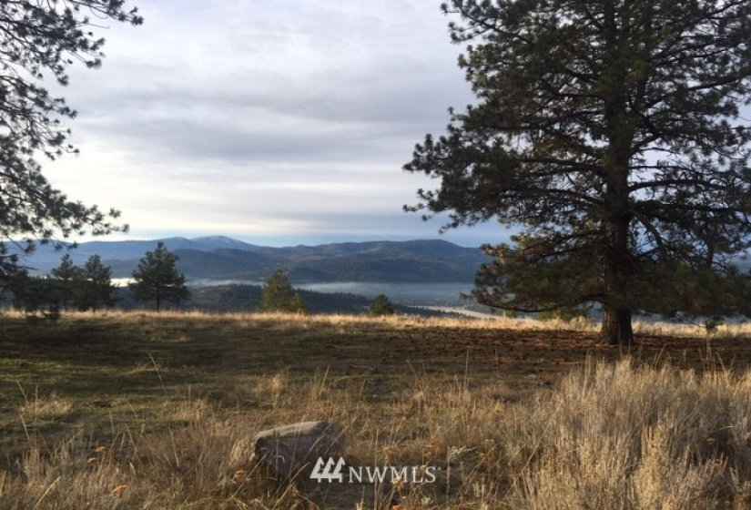 123 Cabin View, Tonasket, Washington 98855, ,Land,For Sale,Cabin View,NWM1859935