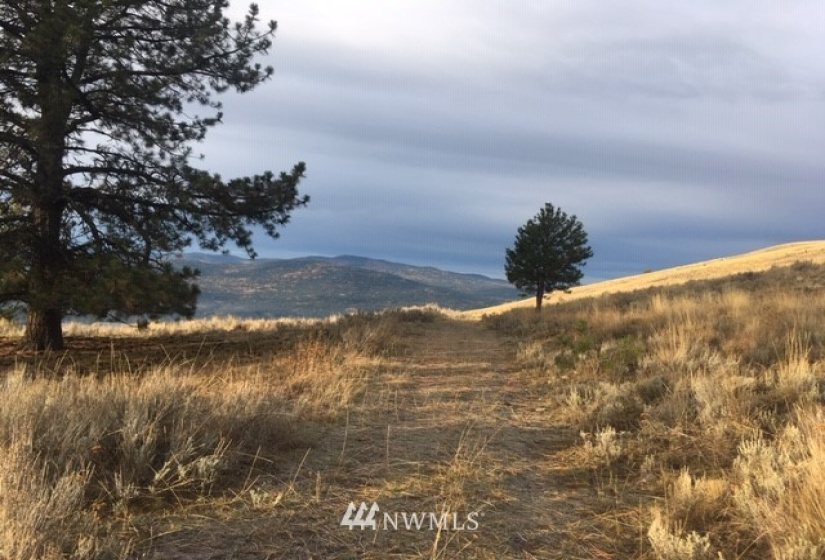 123 Cabin View, Tonasket, Washington 98855, ,Land,For Sale,Cabin View,NWM1859935
