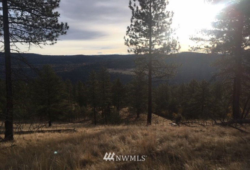 123 Cabin View, Tonasket, Washington 98855, ,Land,For Sale,Cabin View,NWM1859935