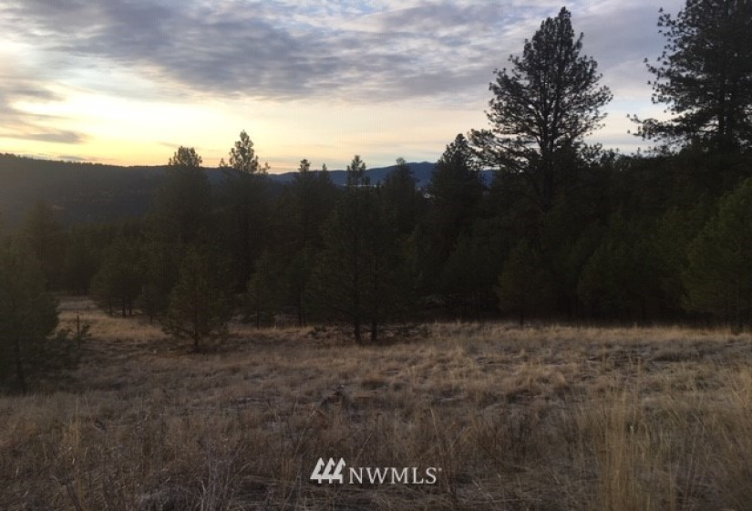 123 Cabin View, Tonasket, Washington 98855, ,Land,For Sale,Cabin View,NWM1859935