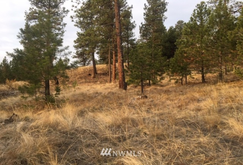 123 Cabin View, Tonasket, Washington 98855, ,Land,For Sale,Cabin View,NWM1859935