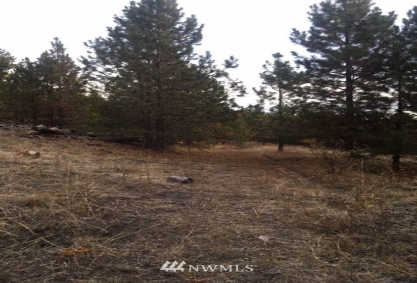 123 Cabin View, Tonasket, Washington 98855, ,Land,For Sale,Cabin View,NWM1859935