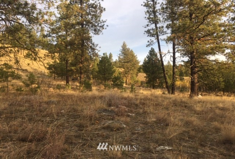 123 Cabin View, Tonasket, Washington 98855, ,Land,For Sale,Cabin View,NWM1859935