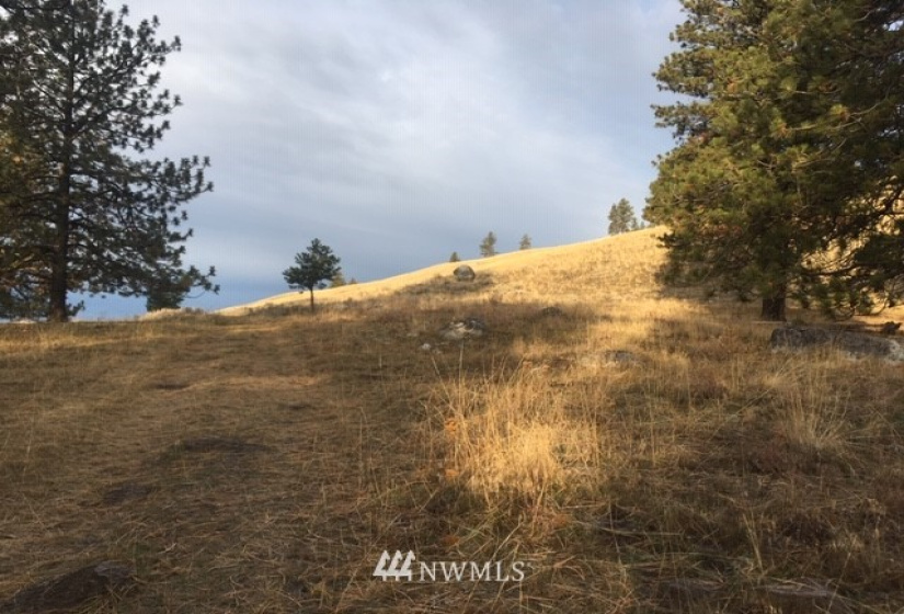123 Cabin View, Tonasket, Washington 98855, ,Land,For Sale,Cabin View,NWM1859935