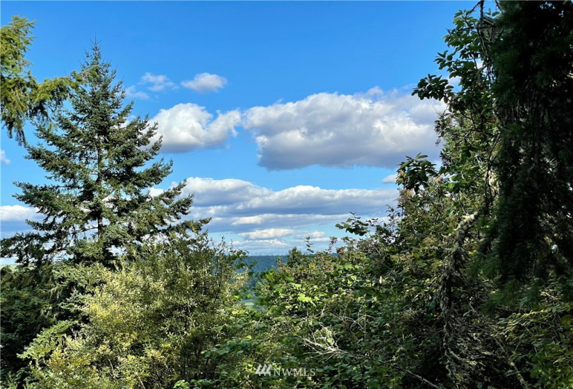 9714 13th, Olympia, Washington 98516, ,Land,For Sale,High Point,13th,NWM1860042