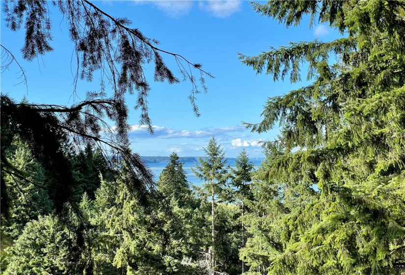 9714 13th, Olympia, Washington 98516, ,Land,For Sale,High Point,13th,NWM1860042