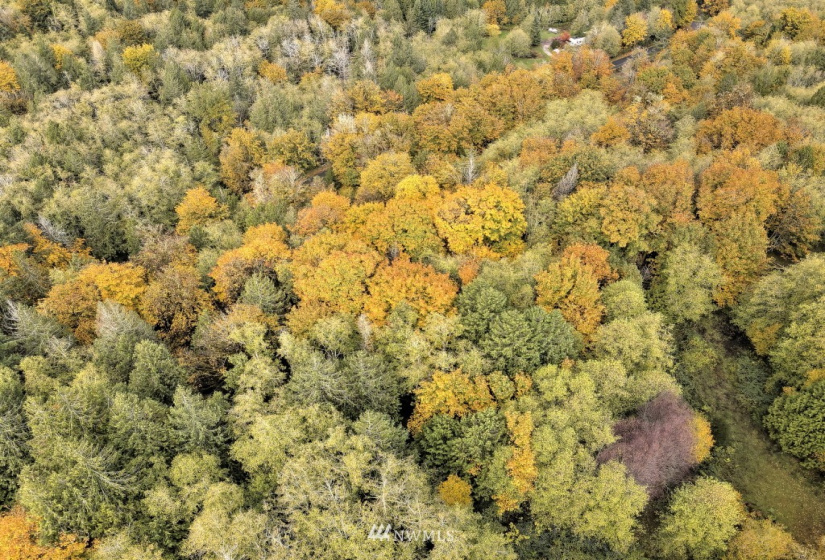25 xx North Island, Shelton, Washington 98584, ,Land,For Sale,North Island,NWM1859780