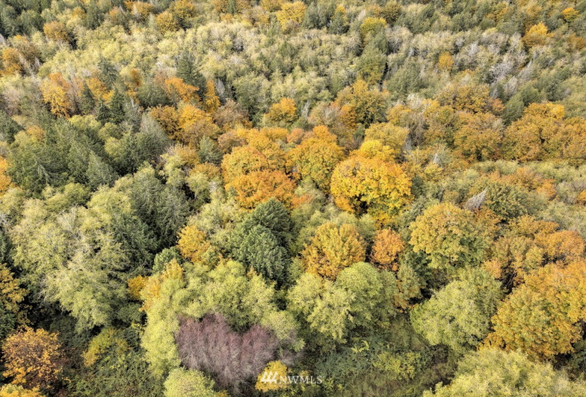 25 xx North Island, Shelton, Washington 98584, ,Land,For Sale,North Island,NWM1859780