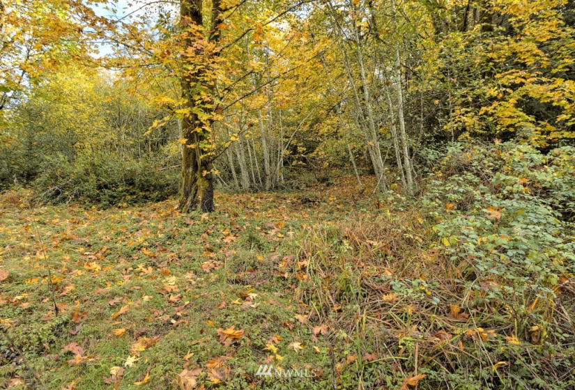 25 xx North Island, Shelton, Washington 98584, ,Land,For Sale,North Island,NWM1859780