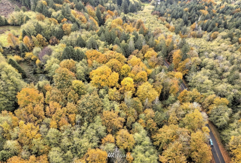 25 xx North Island, Shelton, Washington 98584, ,Land,For Sale,North Island,NWM1859780