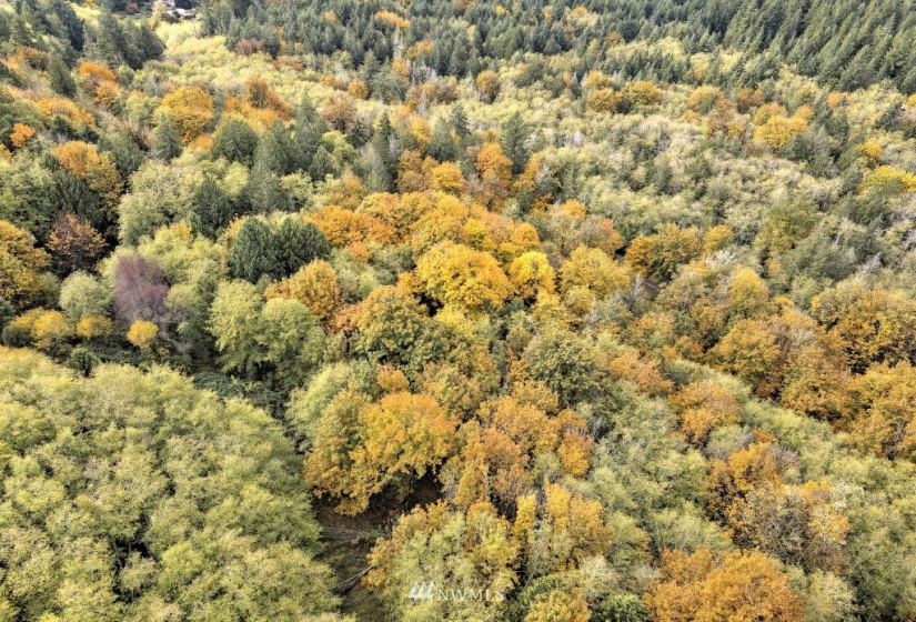 25 xx North Island, Shelton, Washington 98584, ,Land,For Sale,North Island,NWM1859780