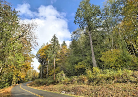 25 xx North Island, Shelton, Washington 98584, ,Land,For Sale,North Island,NWM1859781