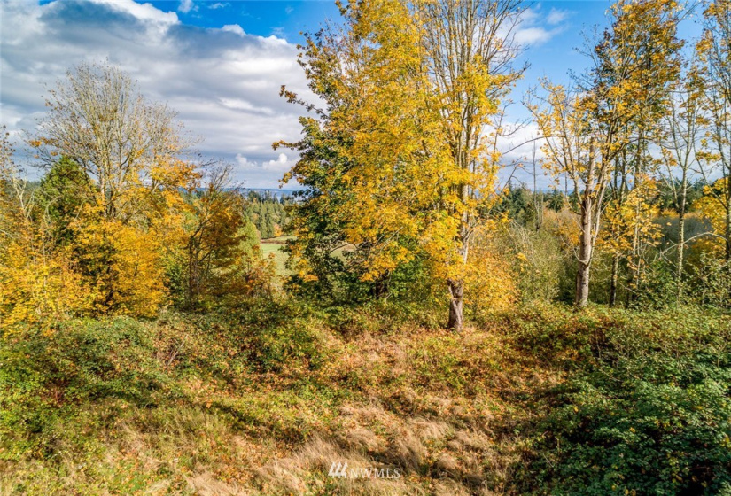 0 Morning Dove, Kingston, Washington 98346, ,Land,For Sale,Morning Dove,NWM1858107