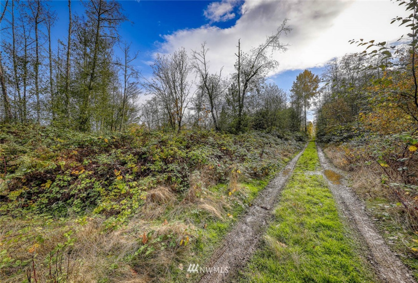 0 Morning Dove, Kingston, Washington 98346, ,Land,For Sale,Morning Dove,NWM1858107