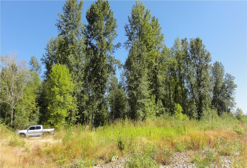 0 Hwy 506, Toledo, Washington 98591, ,Land,For Sale,Hwy 506,NWM1859119