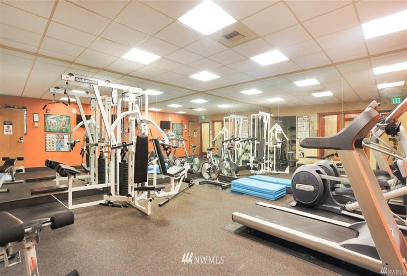 668 Lane Street, Seattle, Washington 98104, 1 Bedroom Bedrooms, ,1 BathroomBathrooms,Residential Lease,For Rent,Lane Street,NWM1855421