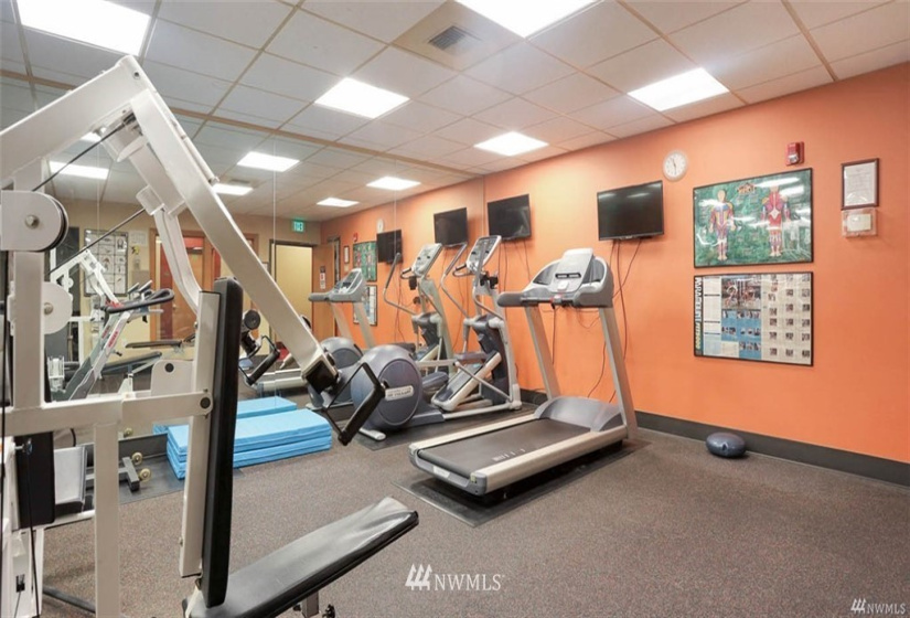 668 Lane Street, Seattle, Washington 98104, 1 Bedroom Bedrooms, ,1 BathroomBathrooms,Residential Lease,For Rent,Lane Street,NWM1855421