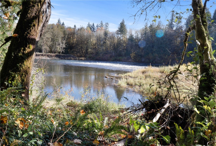 1422 Spencer, Onalaska, Washington 98582, ,Land,For Sale,Spencer,NWM1860186