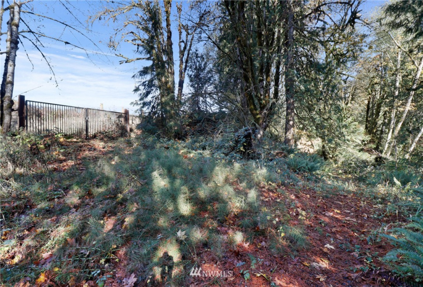 1422 Spencer, Onalaska, Washington 98582, ,Land,For Sale,Spencer,NWM1860186
