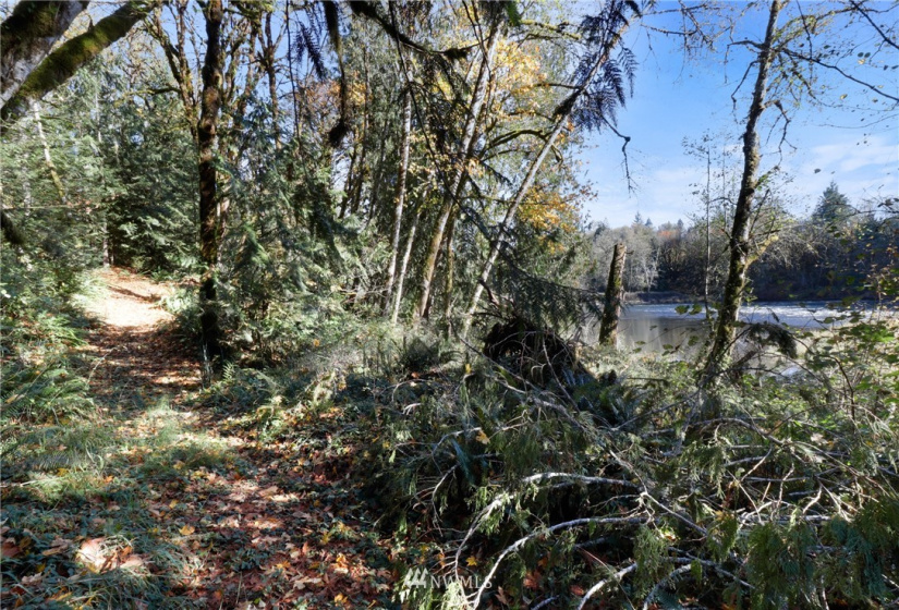 1422 Spencer, Onalaska, Washington 98582, ,Land,For Sale,Spencer,NWM1860186