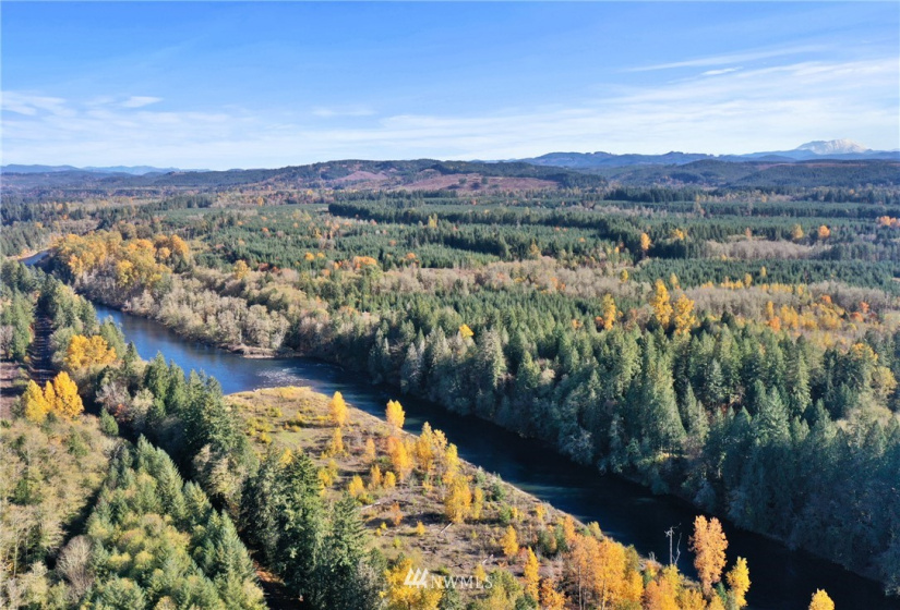 1422 Spencer, Onalaska, Washington 98582, ,Land,For Sale,Spencer,NWM1860186