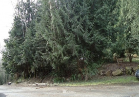 475 Peak, Sedro Woolley, Washington 98284, ,Land,For Sale,Glenhaven Lakes 5 Replat/Blk 2,Peak,NWM1860342