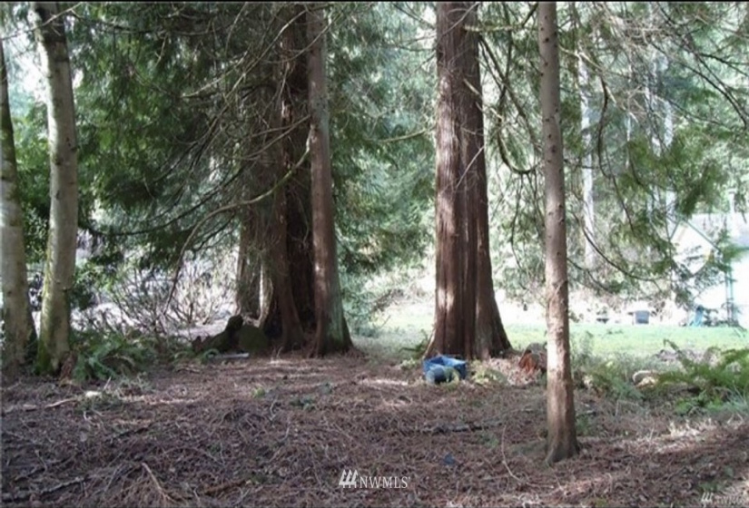 475 Peak, Sedro Woolley, Washington 98284, ,Land,For Sale,Glenhaven Lakes 5 Replat/Blk 2,Peak,NWM1860342