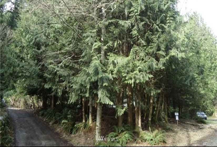 475 Peak, Sedro Woolley, Washington 98284, ,Land,For Sale,Glenhaven Lakes 5 Replat/Blk 2,Peak,NWM1860342