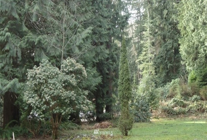 475 Peak, Sedro Woolley, Washington 98284, ,Land,For Sale,Glenhaven Lakes 5 Replat/Blk 2,Peak,NWM1860342