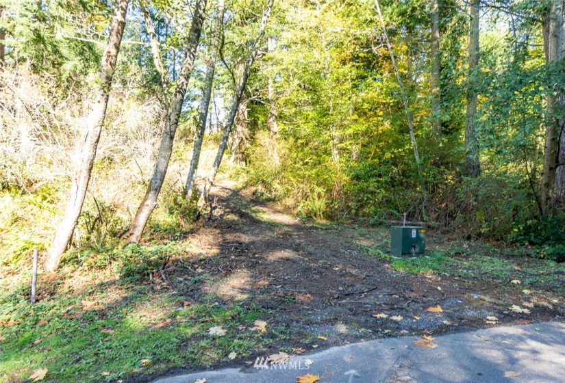 14420 94th, Stanwood, Washington 98292, ,Land,For Sale,94th,NWM1858429