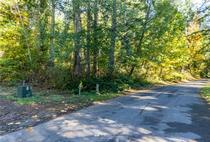 14420 94th, Stanwood, Washington 98292, ,Land,For Sale,94th,NWM1858429