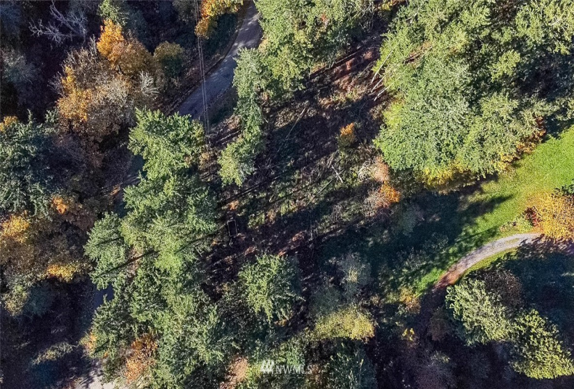 14420 94th, Stanwood, Washington 98292, ,Land,For Sale,94th,NWM1858429