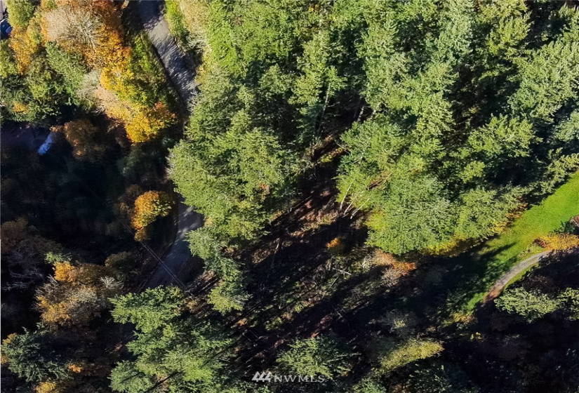 14420 94th, Stanwood, Washington 98292, ,Land,For Sale,94th,NWM1858429