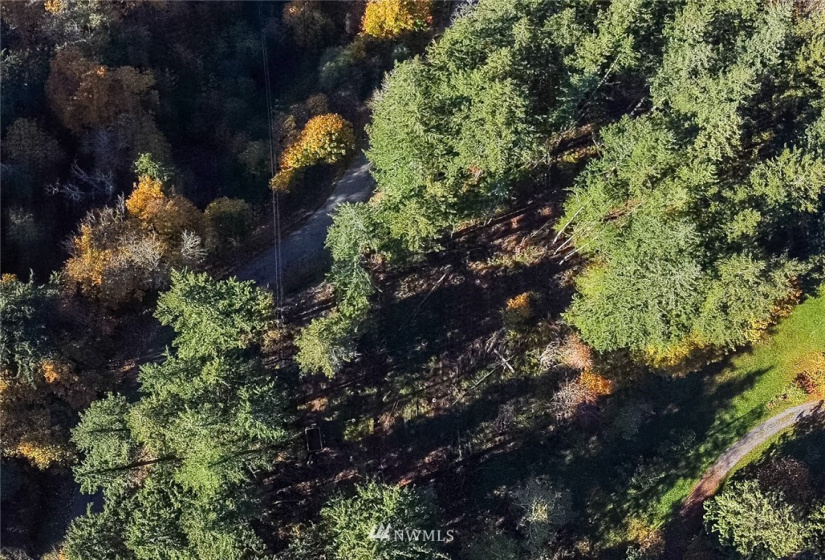 14420 94th, Stanwood, Washington 98292, ,Land,For Sale,94th,NWM1858429
