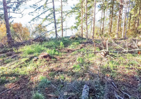 14420 94th, Stanwood, Washington 98292, ,Land,For Sale,94th,NWM1858429