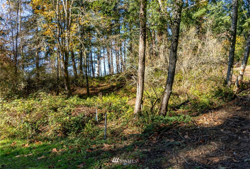 14420 94th, Stanwood, Washington 98292, ,Land,For Sale,94th,NWM1858429