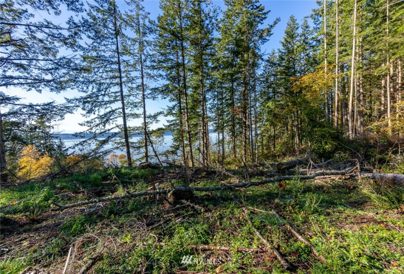 14420 94th, Stanwood, Washington 98292, ,Land,For Sale,94th,NWM1858429