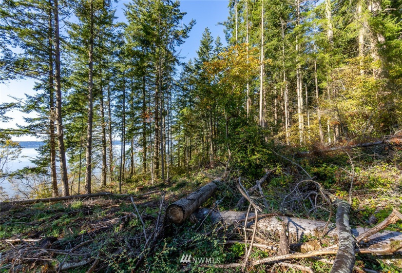 14420 94th, Stanwood, Washington 98292, ,Land,For Sale,94th,NWM1858429