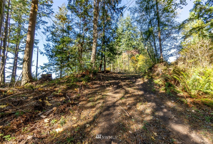 14420 94th, Stanwood, Washington 98292, ,Land,For Sale,94th,NWM1858429