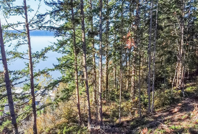 14420 94th, Stanwood, Washington 98292, ,Land,For Sale,94th,NWM1858429