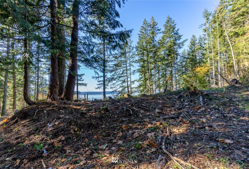14420 94th, Stanwood, Washington 98292, ,Land,For Sale,94th,NWM1858429
