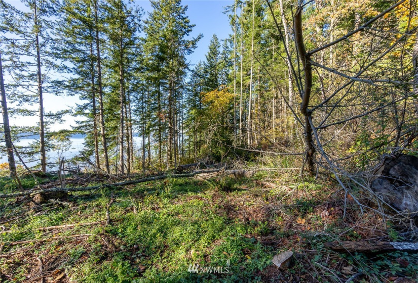 14420 94th, Stanwood, Washington 98292, ,Land,For Sale,94th,NWM1858429
