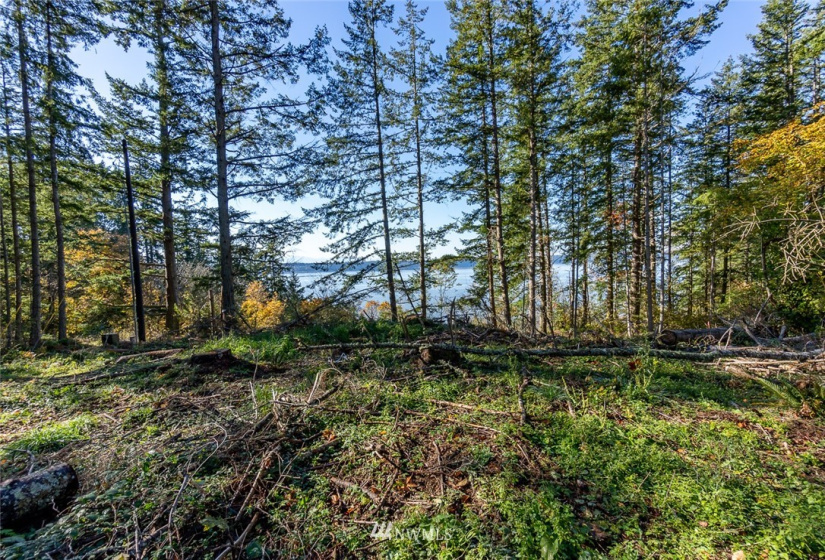 14420 94th, Stanwood, Washington 98292, ,Land,For Sale,94th,NWM1858429