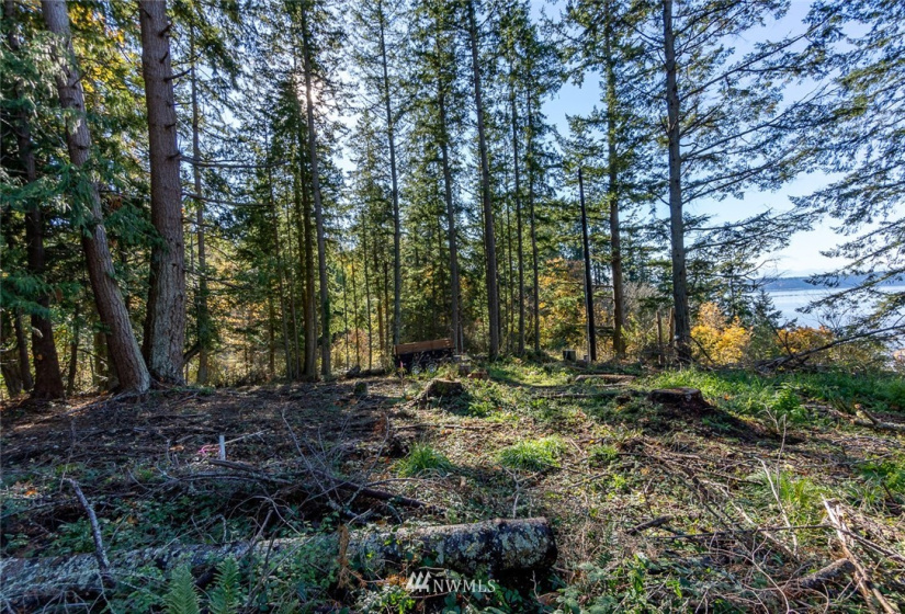 14420 94th, Stanwood, Washington 98292, ,Land,For Sale,94th,NWM1858429